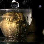 
              The embalmed heart of Brazil's former emperor Dom Pedro I is displayed in a container of formaldehyde, during a press visit at Itamaraty palace in Brasilia, Brazil, Wednesday, Aug. 24, 2022. The heart of the emperor who declared Brazil's independence in 1822 arrived from Portugal for display as part of Brazil's independence bicentennial celebration on Sept. 7. (AP Photo/Eraldo Peres)
            