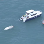 
              An aerial view shows two rescue boats alongside a capsized boat Saturday, Sept. 10, 2022, Kaikoura, New Zealand. Five people in New Zealand died Saturday after the small charter boat they were aboard capsized, authorities say, in what may have been a collision with a whale. Another six people aboard the boat were rescued. (TVNZ via AP)
            