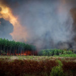 
              This photo provided Tuesday Sept.13, 2022 by the SDIS33 fire brigade shows a wildfire near the village of Saumos, southwestern France, Monday Sept.12, 2022. New wildfires raging in southwestern France have torn through over 1,000 hectares of land and forced the evacuation of residents amid record temperatures for September. Fires that began to rage Monday caused the evacuation of over 500 in the Gironde region. (SDIS33 via AP)
            