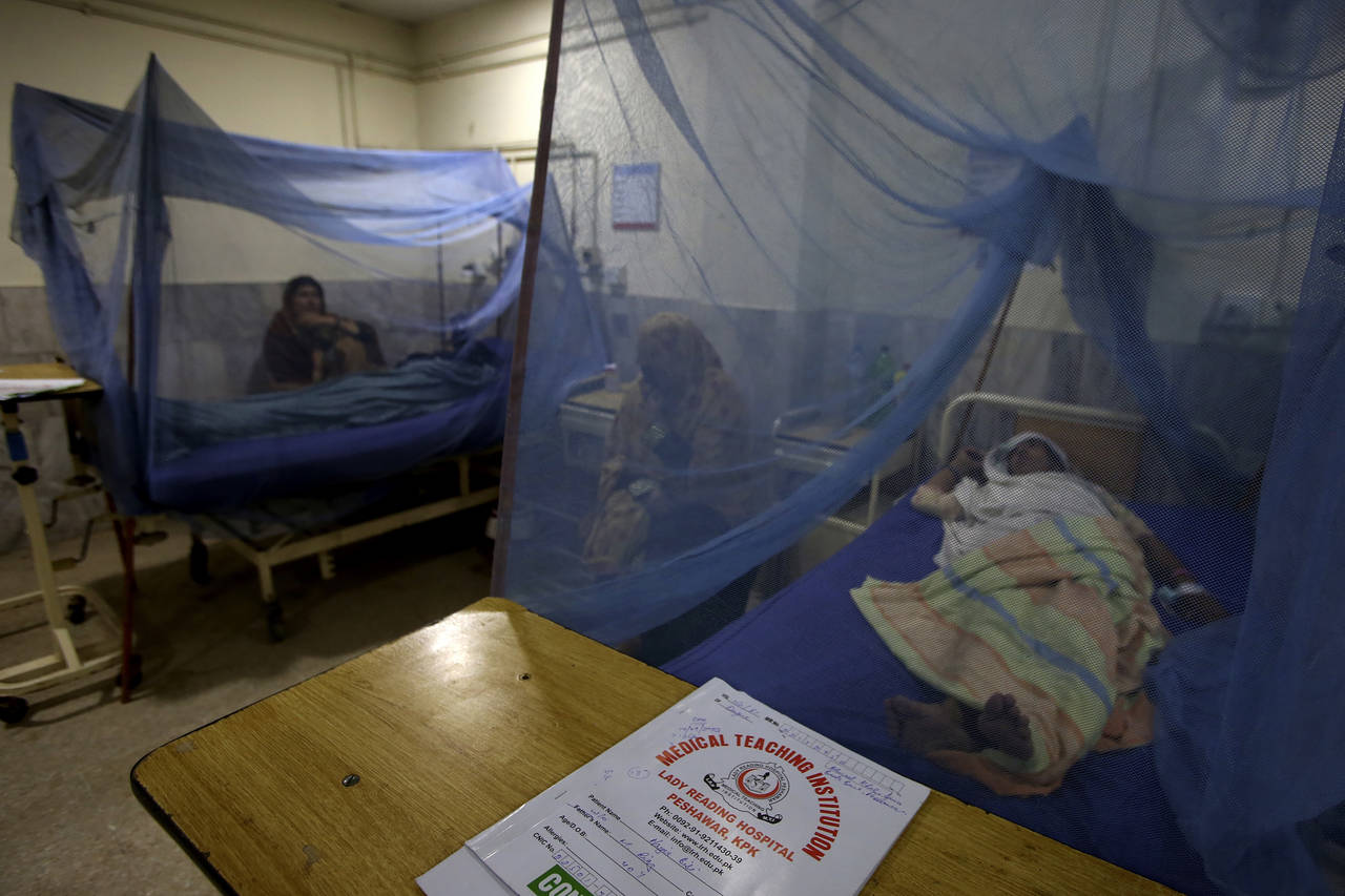 Women suffering from dengue fever, a mosquito-borne disease, are treated at a hospital, in Peshawar...