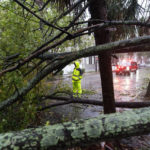 
              A firefighter examines a large tree across a road as the effects from Hurricane Ian are felt, Friday, Sept. 30, 2022, in Charleston, S.C. (AP Photo/Alex Brandon)
            