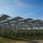 
              Solar panels are installed over an organic orchard in Gelsdorf, western Germany, Tuesday, Aug. 30, 2022. Solar installations on arable land are becoming increasingly popular in Europe and North America, as farmers seek to make the most of their land and establish a second source of revenue.  (AP Photo/Martin Meissner)
            