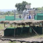 
              This handout photograph provided by the Press Information Bureau shows Indian Prime Minister Narendra Modi watching a cheetah after it was released in an enclosure at Kuno National Park, in the central Indian state of Madhya Pradesh, Saturday, Sept. 17, 2022. Seven decades after cheetahs died out in India, they're back. Modi on Saturday released eight cats from Namibia to their new home: a national park in the heart of India. (Press Information Bureau via AP)
            