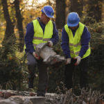 
              Workers carry pieces of a dismantled Red Army monument in Glubczyce, Poland, Thursday, Oct. 27, 2022. Poland on Thursday dismantled four communist-era monuments to Red Army soldiers in a renewed drive to remove symbols of Moscow’s post-World War II domination and to stress its condemnation of Moscow’s current war on neighbouring Ukraine. Workers used drills and heavy equipment to destroy the 1945 monuments at four different locations across Poland. Most of them were in the form of concrete obelisks dedicated to Red Army soldiers who fell while fighting to defeat Nazi German troops. (Mikołaj Bujak/IPN via AP)
            