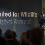 
              Britain's Prince William speaks at the United for Wildlife (UfW) Global Summit at the Science Museum in London, Tuesday, Oct. 4 2022. (Paul Grover/Pool Photo via AP)
            