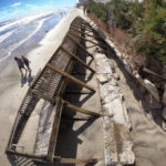 
              Beachgoers walk past a collapsed boardwalk and seawall, Monday, Oct. 3, 2022, in Daytona Beach Shores, Fla., as hotel and condo seawalls and decks along the Volusia County coastline were gutted by Hurricane Ian last week. (Joe Burbank/Orlando Sentinel via AP)
            