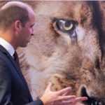 
              Britain's Prince William speaks during the United for Wildlife (UfW) Global Summit at the Science Museum in London, Tuesday, Oct. 4 2022. (Paul Grover/Pool Photo via AP)
            