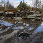 
              Russian tanks damaged in recent fighting are seen near the recently retaken village of Kamianka, Kharkiv region, Ukraine, Sunday, Oct. 30, 2022.(AP Photo/Efrem Lukatsky)
            