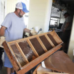 
              Robert Rioux removes a water logged bathroom counter already showing signs of mold from his home, Monday, Oct. 3, 2022, in Fort Myers, Fla. Rioux removed most of the walls, cabinets and furniture after his home was flooded during Hurricane Ian on Wednesday. (AP Photo/Marta Lavandier)
            