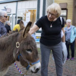 
              Barbara Brown, 76, pets a donkey named Leonardo during a gathering with her Democratic campaign works and volunteers, Friday, Nov. 4, 2022, in Chestertown, Md.  (AP Photo/Julio Cortez)
            