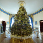 
              The White House Christmas Tree is on display in the Blue Room of the White House during a press preview of holiday decorations at the White House, Monday, Nov. 28, 2022, in Washington. (AP Photo/Patrick Semansky)
            