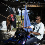 
              A thoroughbred race horse stands outside a home in San Andres Island, Colombia, Wednesday, Nov. 9, 2022. Horse racing has a long history on San Andres and its sister island of Providencia despite their small populations and distance from the mainland. (AP Photo/Ivan Valencia)
            