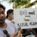 
              A cannabis supporter holds a piece of cannabis during a demonstration outside the Government House in Bangkok, Thailand, Tuesday, Nov. 22, 2022. Thailand made it legal to cultivate and possess marijuana for medicinal purposes earlier this year, but lax regulations allowed the growth of a recreational marijuana industry, and the demonstrators don't want the rules against it to be strengthened again. (AP Photo/Sakchai Lalit)
            