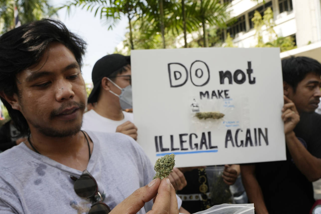 A cannabis supporter holds a piece of cannabis during a demonstration outside the Government House ...