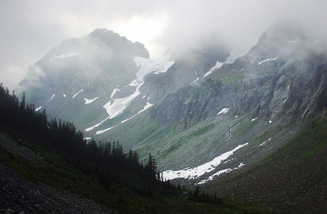 Feds resume study of restoring grizzlies to North Cascades 