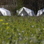 
              Tents setup as a shelter for refugees stand on a meadow in St. Georgen im Attergau, Austria, Monday, Nov. 14, 2022. In a weeks-long standoff with the Austrian government over the accommodation of rising numbers of asylum seekers in the alpine country, the mayor of the small village St. Georgen defied national housing measures and ordered the dismantling of more than a dozen tents for some 100 migrants in his community citing security concerns. (AP Photo/Andreas Schaad)
            