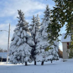 
              Snow covers the ground in Buffalo, N.Y. on Saturday, Nov. 19, 2022. Residents of northern New York state are digging out from a dangerous lake-effect snowstorm that had dropped nearly 6 feet of snow in some areas and caused three deaths. The Buffalo metro area was hit hard, with some areas south of the city receiving more than 5 feet by early Saturday.  (AP Photo/Carolyn Thompson)
            