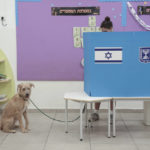 
              A woman votes during Israeli elections in Tel Aviv, Israel, Tuesday, Nov 1, 2022. (AP Photo/Oded Balilty)
            