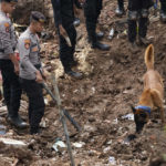
              Police officers use a sniffer dog during the search for victims at village hit by an earthquake-triggered landslide in Cianjur, West Java, Indonesia, Thursday, Nov. 24, 2022. On the fourth day of an increasingly urgent search, Indonesian rescuers narrowed their work Thursday to the landslide where dozens are believed trapped after an earthquake that killed hundreds of people, many of them children. (AP Photo/Tatan Syuflana)
            