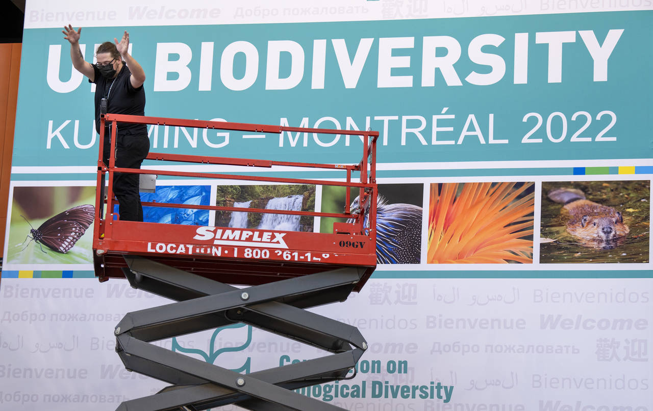 FILE - Workers set up the Montreal Convention Centre in preparation for the COP15 U.N. conference o...