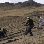 
              Residents harvest potatoes at the Cconchaccota community in the Apurimac region of Peru, Saturday, Nov. 26, 2022. A climatologist with Peru’s National Meteorology and Hydrology Service, said an index used to measure droughts qualified the region as “extremely dry.” (AP Photo/Guadalupe Pardo)
            