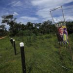 
              A campaign sign of President Jair Bolsonaro stands next to a farm fence on the access road to the Chico Mendes Extractive Reserve, in Xapuri, Acre state, Brazil, Tuesday, Dec. 6, 2022. Parts of Amazon region, with its legacy of rubber tappers, have turned against his Workers' Party and its vision of a sustainable economy. Many prefer to cut forest and run cattle and have became supporters of Bolsonaro. (AP Photo/Eraldo Peres)
            