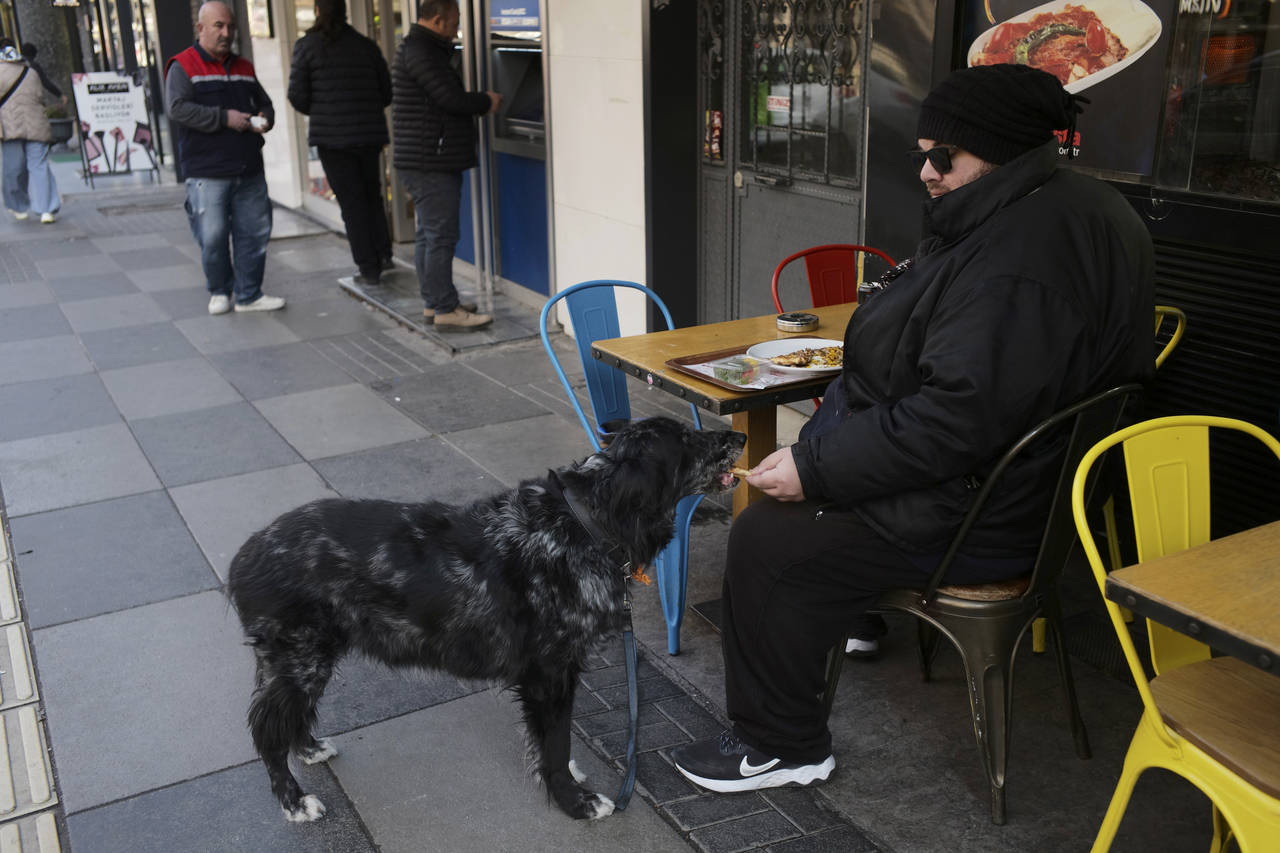 Levent Yurdadogan, 34, shares his pizza with his 11-year-old dog Sansli (Lucky) at a restaurant in ...