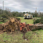 
              A tree is uprooted following severe weather Wednesday, Dec. 14, 2022, in Keithville, La. A volatile storm ripping across the U.S. spawned tornadoes that killed a young boy and his mother in Louisiana, smashed mobile homes and chicken houses in Mississippi and threatened neighboring Southern states with more punishing weather Wednesday. (AP Photo/Jake Bleiberg)
            