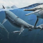 
              This illustration provided by the Smithsonian National Museum of Natural History in December 2022 depicts a group of adult and newly born Triassic shonisaurus ichthyosaurs. (Gabriel Ugueto/NMNH via AP)
            