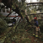
              Monte Rio Fire Protection District fire captain Chris Coombs prepares to remove limbs from a large redwood tree that fell in to the front yard and home on Alder Rd., in Monte Rio, Calif., Saturday, Dec. 10, 2022. No one at the home was injured. A potent winter storm is battering the west coast. (Kent Porter/The Press Democrat via AP)
            