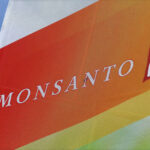 
              FILE - The Monsanto logo is seen on display at the Farm Progress Show in Decatur, Ill., on Aug. 31, 2015. Monsanto has agreed to pay Oregon a lump sum of $698 million for its role in polluting the state with PCBs over a 90-year period until they were banned in 1977. Oregon Attorney General Ellen Rosenblum said Thursday, Dec. 15, 2022, that the settlement amount is the largest environmental damage recovery in Oregon's history. (AP Photo/Seth Perlman, File)
            