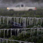 
              A farmer drives by an icicle covered fence as he checks on his ornamental plants before sunrise Saturday, Dec. 24, 2022, in Plant City, Fla. Farmers spray their crops with sprinklers to help protect them. Temperatures overnight dipped into the mid-20's. (AP Photo/Chris O'Meara)
            