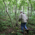 
              Ed Evans, Democratic West Virginia delegate and retired public school teacher, walks in the overgrown unmarked cemetery where more than 80 coal miners killed in the 1912 Jed Coal and Coke Company disaster are buried on June 7, 2022, in Havaco, W.Va. (AP Photo/Leah Willingham)
            