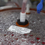 
              CORRECTS COMPANY NAME TO MIROMATRIX NOT MICROMATRIX - A label on a bioreactor indicates it contains a pig kidney in a Miromatrix laboratory on Tuesday, Dec. 8, 2022, in Eden Prairie, Minn. (AP Photo/Andy Clayton-King)
            