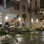 
              A crew works to remove fallen trees outside an entrance to the main public library in San Francisco, Thursday, Jan. 5, 2023. Damaging winds and heavy rains in California have knocked out power to tens of thousands, caused flash flooding and contributed to the deaths of at least two people. (AP Photo/Olga Rodriguez)
            