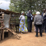 
              U.S. Treasury Secretary Janet Yellen visits a female-savings co-op and small-holding farm in Chongwe, Zambia, Tuesday, Jan. 24, 2023, as part of a Treasury ten-day tour of Africa, with stops in Senegal, Zambia and South Africa. (AP Photo/Fatima Hussein)
            