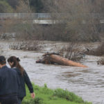 
              Logs and other storm debris flows along the San Lorenzo River from severe weather through downtown Santa Cruz, Calif., on Monday, Jan. 9, 2023. (Shmuel Thaler/The Santa Cruz Sentinel via AP)
            