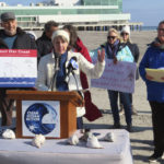 
              Cindy Zipf, executive director of the Clean Ocean Action environmental group, speaks at a press conference on the beach in Atlantic City, N.J., on Monday, Jan. 9, 2023, where a large dead whale was buried over the weekend. Several groups called for a federal investigation into the deaths of six whales that have washed ashore in New Jersey and New York over the past 33 days and whether the deaths were related to site preparation work for the offshore wind industry. (AP Photo/Wayne Parry)
            