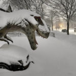
              A life-size model of a T-Rex is caked in fresh snow along Portland Avenue S. Wednesday, Jan. 4, 2023 in Minneapolis, Minn. The Twin Cities has received about 10 inches of snow so far and is expecting 2 to 4 inches of new snow in the next 24 hours.(David Joles/Star Tribune via AP)
            