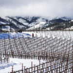 
              Snowy vineyards are viewed at Arkenstone Vineyards in Angwin, Calif., Friday, Feb. 24, 2023. (Gabrielle Lurie/San Francisco Chronicle via AP)
            