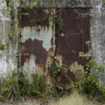 
              Plants grow outside the metal door of an abandoned weapons storage structure in what used to be America's largest overseas naval base at the Subic Bay Freeport Zone, Zambales province, northwest of Manila, Philippines on Monday Feb. 6, 2023. The U.S. has been rebuilding its military might in the Philippines after more than 30 years and reinforcing an arc of military alliances in Asia in a starkly different post-Cold War era when the perceived new regional threat is an increasingly belligerent China. (AP Photo/Aaron Favila)
            