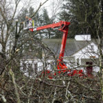 
              Crews remove a tree dangling over the roof of a home in the Winchell neighborhood following an ice storm in Kalamazoo, Mich., Thursday, Feb. 23, 2023. (Joel Bissell/MLive.com/Kalamazoo Gazette via AP)
            