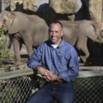 
              Jon Forrest Dohlin, the Chief Executive Officer and Fresno Chaffee Zoo Director, is shown near the open roaming area for two of the zoo's three elephants, Nolwazi and Amahle, in Fresno, Calif., Jan. 30, 2023. A community in the heart of California's farm belt has been drawn into a growing global debate over whether elephants should be in zoos. In recent years, some larger zoos have phased out elephant exhibits, but the Fresno Chaffee Zoo has gone in another direction, updating its Africa exhibit and collaborating with the Association of Zoos and Aquariums on breeding. (AP Photo/Gary Kazanjian)
            