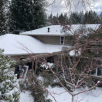 
              In this photo provided by Brad Flores, a tree that fell on a house during a major snowstorm in western Oregon is seen in Lake Oswego, Ore., Thursday, Feb. 23, 2023. The tree narrowly missed a young child in the driveway preparing to go sledding. A surprise snow event dumped 11 inches in some areas of the Pacific Northwest city and brought roads to a standstill for hours as driver spun out and got stranded. (Brad Flores via AP)
            
