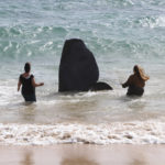
              In this photo released by the Hawaii Department of Land and Natural Resources, members of the NOAA Marine Mammal Response approach a dead sperm whale at Lydgate Beach in Kauai County, Hawaii on Saturday, Jan. 28, 2023. Scientists suspect the large sperm whale that washed ashore in Hawaii over the weekend may have died from an intestinal blockage because it ate large volumes of plastic, fishing nets, and other marine debris. (Daniel Dennison/Hawaii Department of Land and Natural Resources via AP)
            