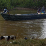 
              Miners navigate the Uraricoera River as some miners leave Yanomami Indigenous territory ahead of expected operations against illegal mining in Alto Alegre, Roraima state, Brazil, Tuesday, Feb. 7, 2023. The government declared a public health emergency for the Yanomami people in the Amazon, who are suffering from malnutrition and diseases such as malaria as a consequence of illegal mining. (AP Photo/Edmar Barros)
            