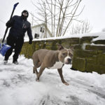 
              Lou Fernandez and his dog, Lila, finish shoveling their sidewalk on Tatman Street in Worcester, Mass., during a winter storm, Tuesday morning, Feb. 28, 2023. (Allan Jung/Worcester Telegram & Gazette via AP)
            