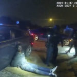 
              FILE - In this image from video released on Jan. 27, 2023, by the city of Memphis, Tenn., Tyre Nichols leans against a car after a brutal attack by five Memphis Police officers on Jan. 7, in Memphis. Officials said Tuesday, Feb. 7, that a total of 13 Memphis officers could end up being disciplined in connection with the violent arrest of Nichols, as city council members expressed frustration with the city’s police and fire chiefs during a meeting for not moving quickly on specific policy reforms in the month since Nichols’ brutal beating. (City of Memphis via AP, File)
            