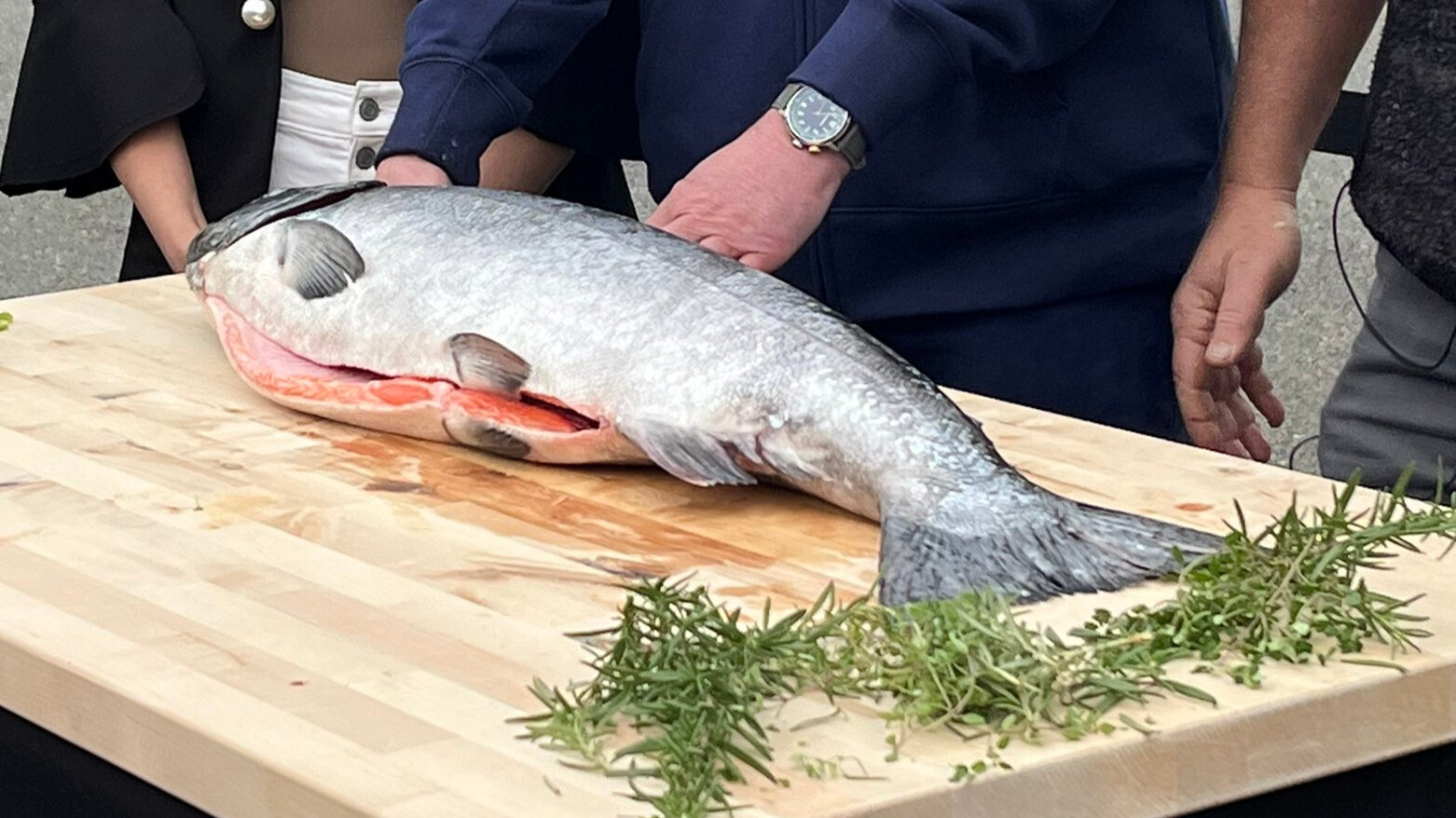 Copper River salmon season kicks off with SeaTac arrival