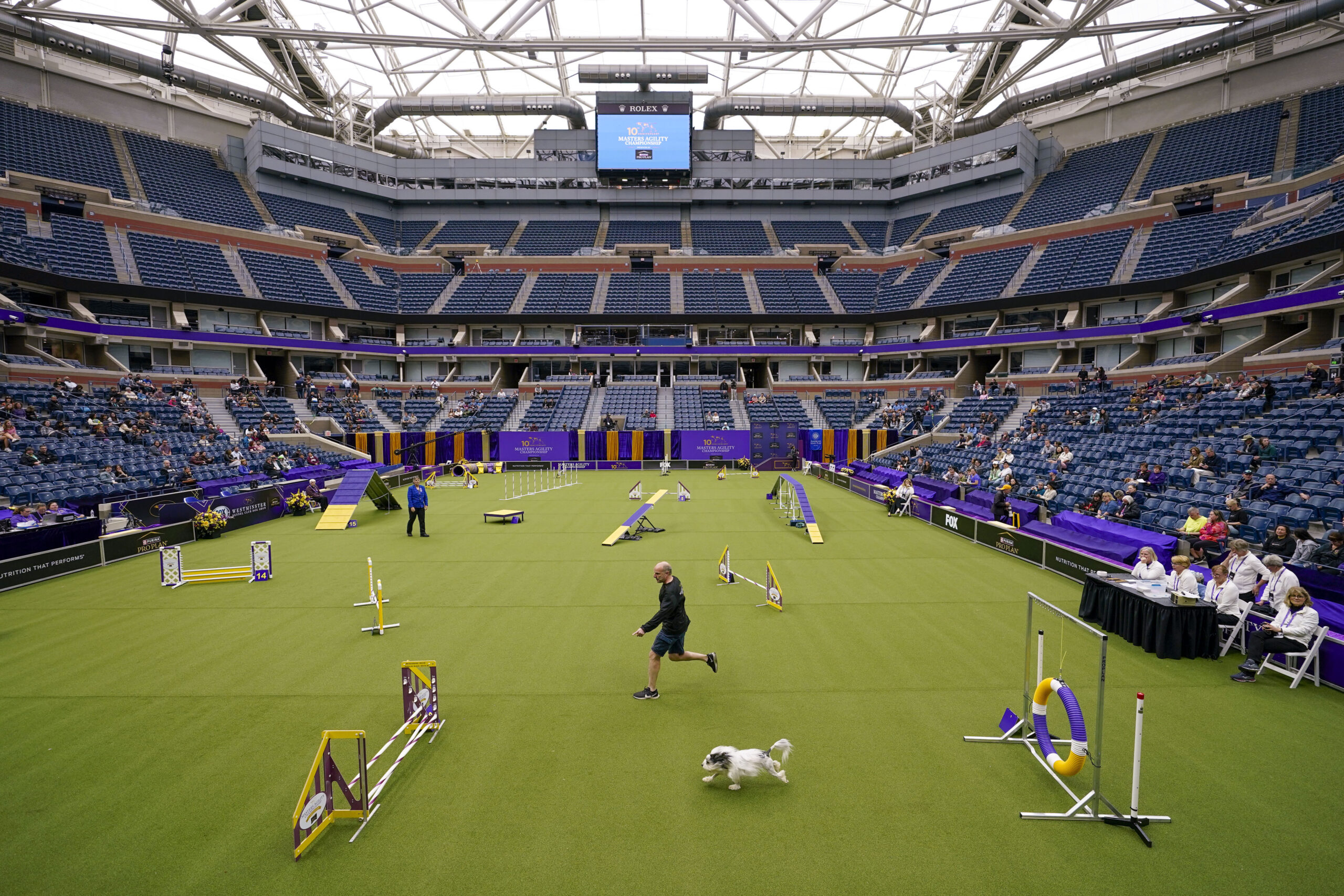 A handler and his dog compete in the agility preliminaries inside Arthur Ashe stadium during the 14...